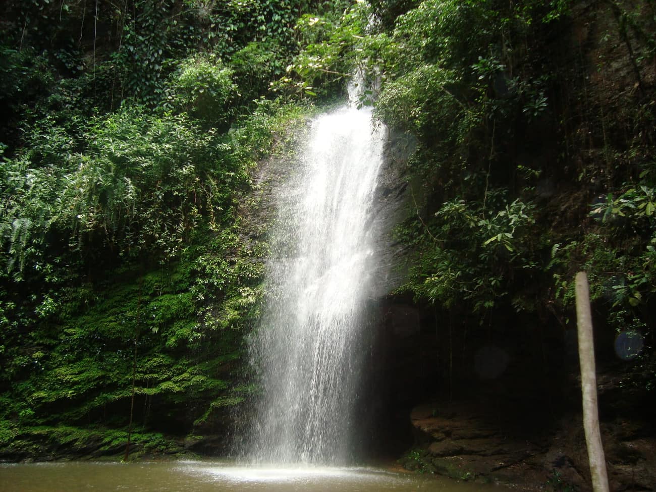 Wli waterfall descending a forested rock face